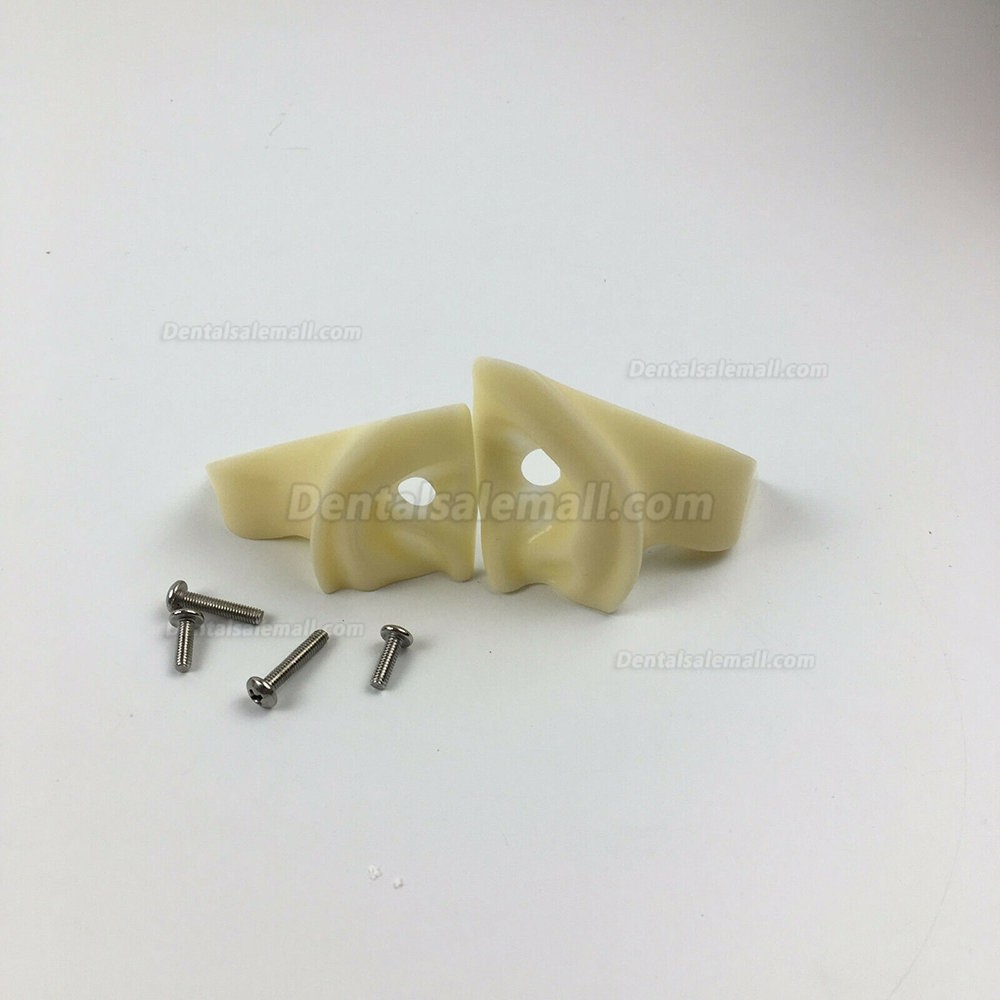 Jingle JG-C1 Dental Manikin Phantom Head Clamp Type Typodont Compatible with Nissin Kilgore/ Frasaco